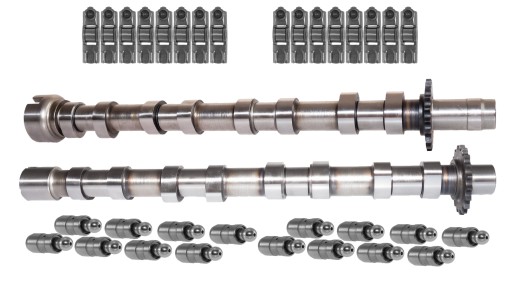 LD217692RTM - Распредвалы Citroen 2.2 HDI 16V 4HL 4HN 4ht kpl