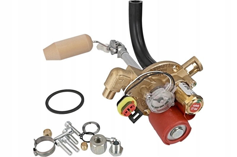 10MV48301180 - BRC EUROPA2 180/30 тороидальный клапан