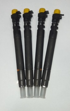 Інжектор EMBR00101D FIAT 2.0 HDI TDCI GW 24mc