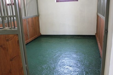 Гумовий носик для кінного екіпажу