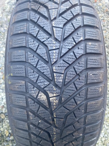 Yokohama BluEarth Зима V905 215/55R17 98 В