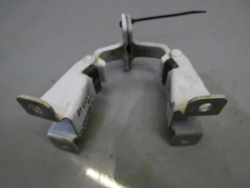 Петля двери левая задняя задняя D389 RENAULT Kangoo II