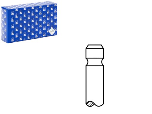 V95069 - Випускний КЛАПАН 6шт. HYUNDAI ATOS I10 і KIA PICANTO 1.0 1.1 1.1 LPG