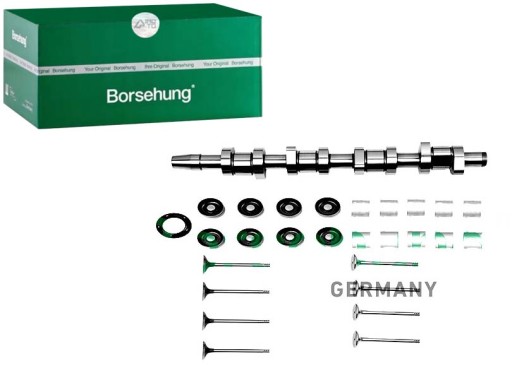 B17129 - РЕМКОМПЛЕКТ РОЗДІЛВАЛА FAB OCT ROOM BORSEHUNG