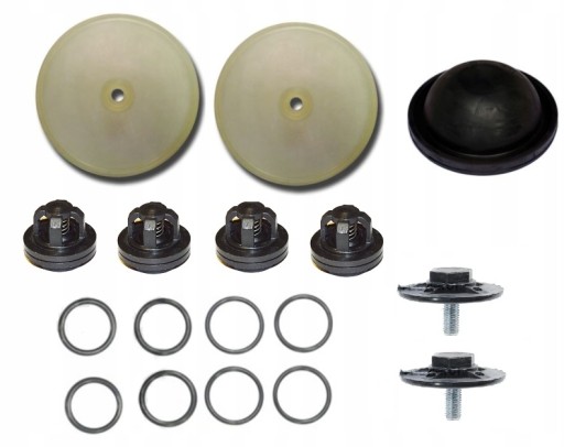 W19699 W21386 - КОМПЛЕКТ ДЛЯ РЕМОНТА НАСОСА P-120 BIARDZKI ОПРЫСКИВАТЕЛЬ