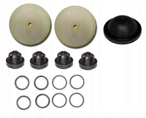 W19699 W21386 - КОМПЛЕКТ ДЛЯ РЕМОНТА НАСОСА P-120 BIARDZKI ОПРЫСКИВАТЕЛЬ