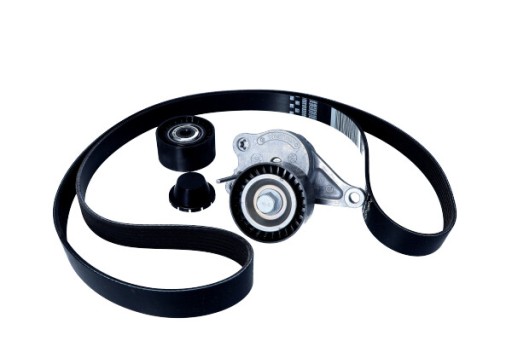 7701476644 - КОМПЛЕКТ МНОГОРУЧНЫХ РЕМНЕЙ. ОРГ РЕН NISSAN/SAMSUNG/R