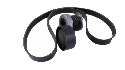 117207020R - КОМПЛЕКТ МНОГОРУЧНЫХ РЕМНЕЙ. RENAULT CLIO II/ ОРГ РЕН