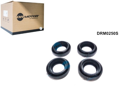DRM0250S - НАБОР НАБИВОК ВПРЫСКИ PAL ДЛЯ TOYOTA 2.0 D 07-4PCS DR.MOTOR AUTOMOTIVE