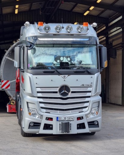 Розписні штори Tir Eyes Printed Grey