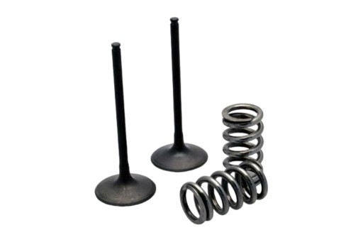 28.SIS2424-2 - Впускные клапаны Prox + пружины Gas Gas EC 450F