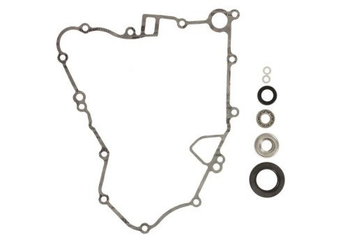 Ремкомплект насоса охолоджуючої рідини WINDEROSA 821879