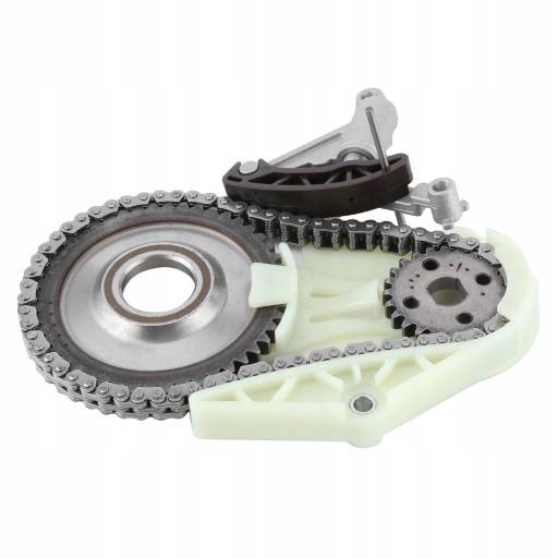 1618200290311 - Набор цепей ГРМ масляного насоса