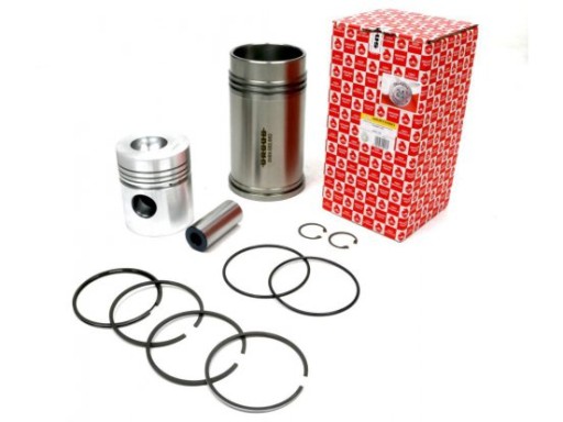 80001118U - Ремкомплект двигуна C-385 ORIGINAL URSUS