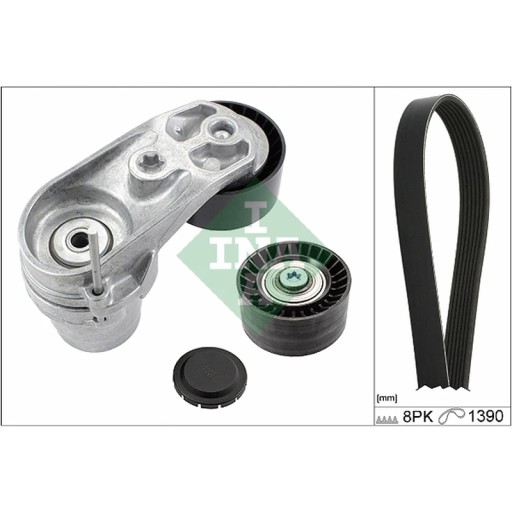 0210 10 - Комплект поліклинового ременя INA 529