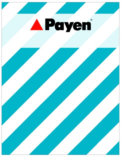 Комплект болтів ГБЦ PAYEN HBS490