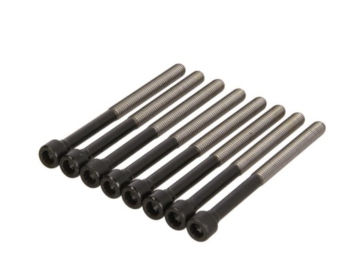 Комплект болтів головки блоку циліндрів REINZ 14-32366-01