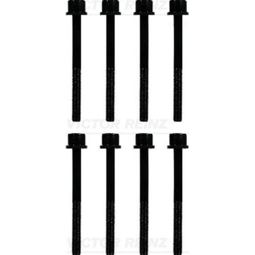 Комплект болтов головки блока цилиндров VICTOR REINZ 14-10014-01