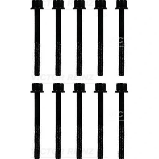 Комплект болтов головки блока цилиндров VICTOR REINZ 14-10015-01