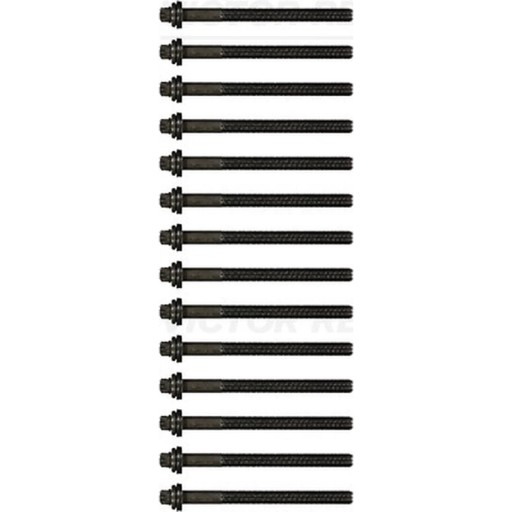 Комплект болтов головки блока цилиндров VICTOR REINZ 14-32164-01