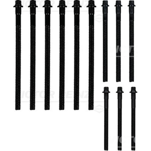 Комплект болтов головки блока цилиндров VICTOR REINZ 14-32310-01