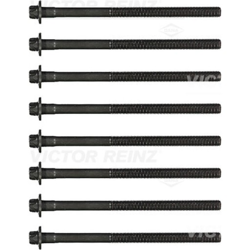 14-32043-01 - Комплект болтов ГБЦ VICTOR REINZ 14-43-01