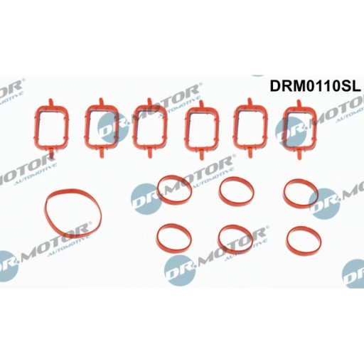 DRM0110SL - Комплект прокладок, впускний колектор Dr. Motor