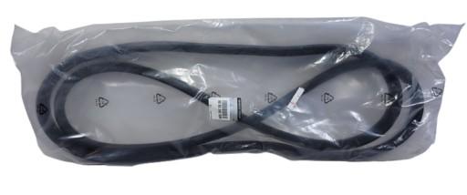 Zoe ущільнення двері спереду 808324593r новий оригінальний