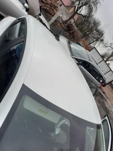 Крыша renault clio V OV369