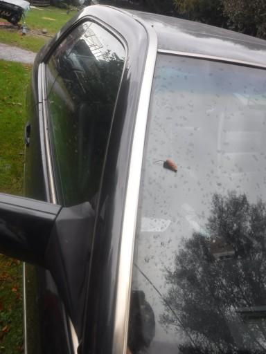 12455988745321245698 - mercedes w124 молдинги хром купе комплект кузова